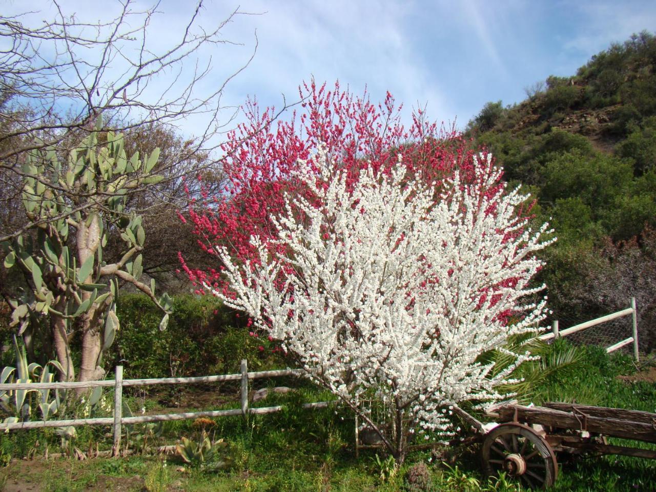 Waterval farmstay Graaff-Reinet Exteriör bild