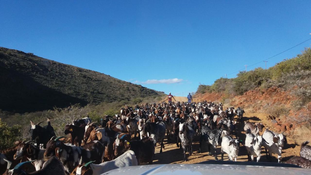 Waterval farmstay Graaff-Reinet Exteriör bild